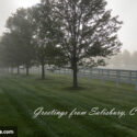 Salisbury morning fog